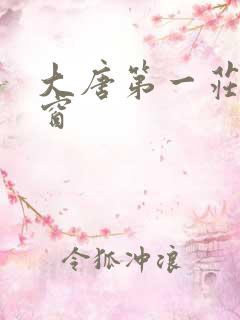 大唐第一庄无弹窗