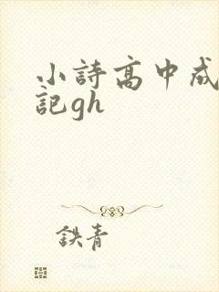 小诗高中成长日记gh