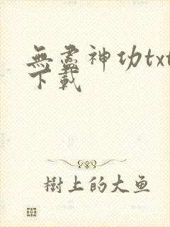 无尽神功txt下载