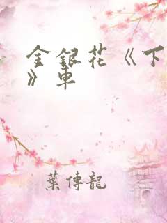 金银花《下厨房》车