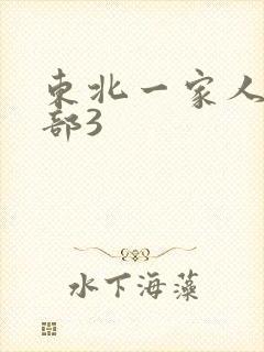 东北一家人第一部3