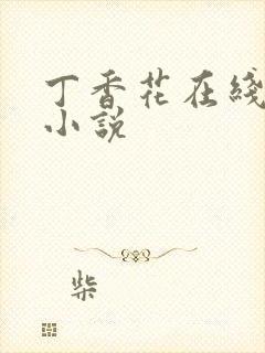 丁香花在线电影小说