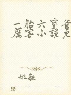 一胎六宝爸比好厉害小说免费阅读