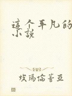 这个平凡的男子小说