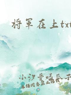 将军在上txt
