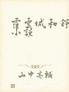 霍云城和舒情的小说