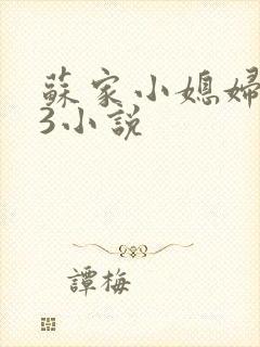 苏家小媳妇1V3小说
