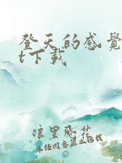 登天的感觉txt下载