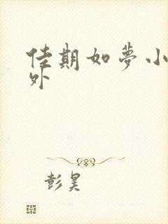 佳期如梦小说番外