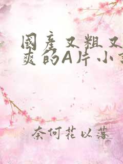 国产又粗又黄又爽的A片小说