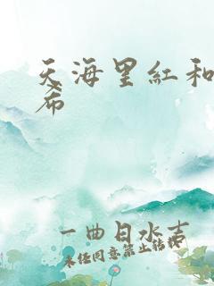 天海里红和橘和希