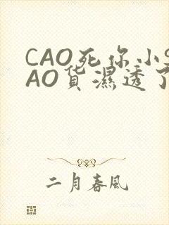 CAO死你小SAO货湿透了学长