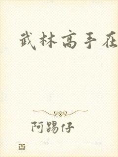 武林高手在官场