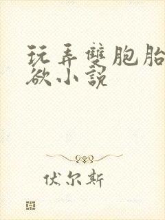 玩弄双胞胎的肉欲小说