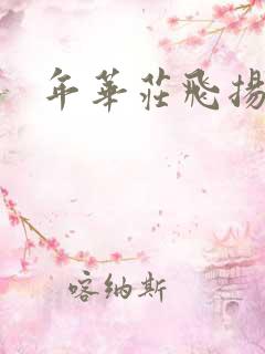 年华庄飞扬