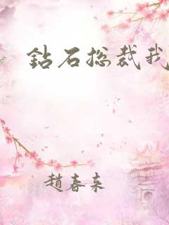 钻石总裁我已婚