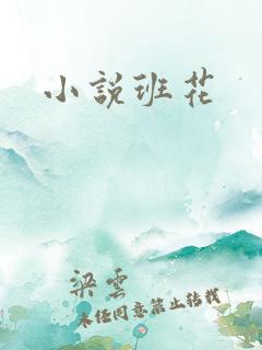 小说班花