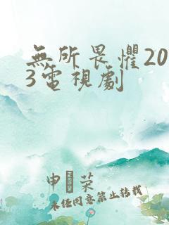 无所畏惧2023电视剧