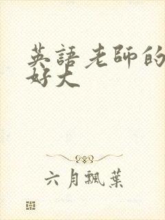 英语老师的兔子好大