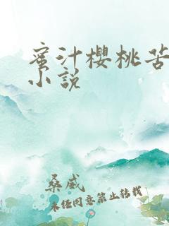 蜜汁樱桃苦咖啡小说