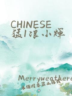 CHINESE猛1浪小辉