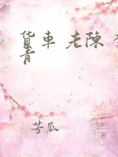 货车 老陈 李青