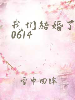 我们结婚了130614