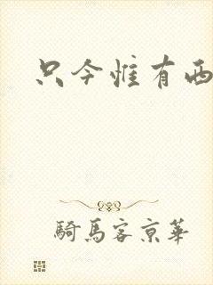 只今惟有西江月