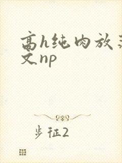 高h纯肉放荡h文np