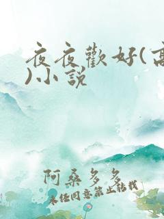 夜夜欢好(高h)小说