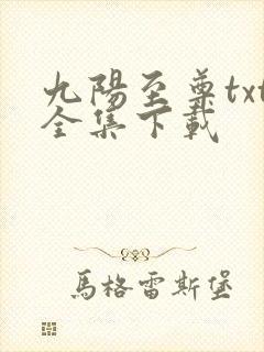 九阳至尊txt全集下载