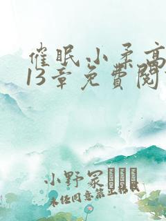 催眠小柔高达第13章免费阅读