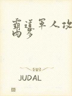 霸道军人攻现代肉多