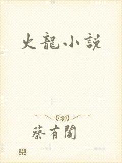 火龙小说