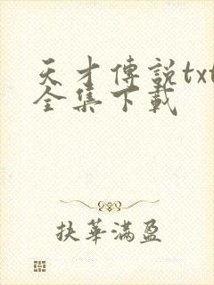 天才传说txt全集下载