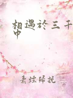 相遇于三千肉文中