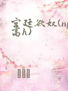 宫廷欲奴(np高h)
