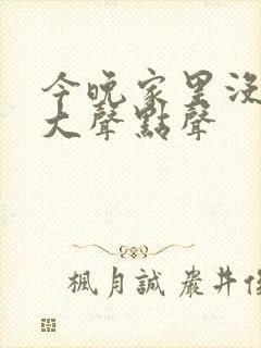 今晚家里没人叫大声点声