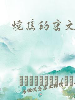 烧焦的密文