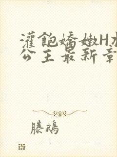 灌饱娇嫩H将军公主最新章节