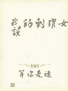 我的刺猬女孩小说