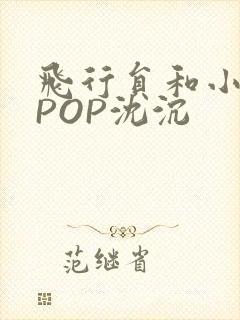 飞行员和小空乘POP沈沉