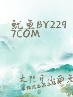 鱿鱼BY2297COM