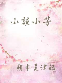 小说小芳