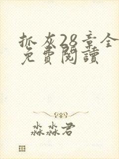 抓灰28章全部免费阅读