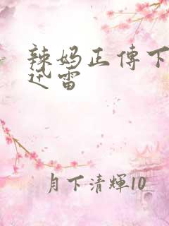 辣妈正传下载 迅雷