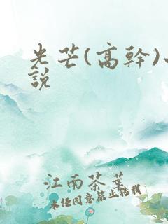 光芒(高干)小说