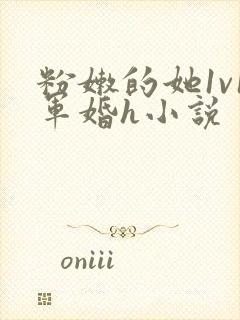 粉嫩的她1v1军婚h小说