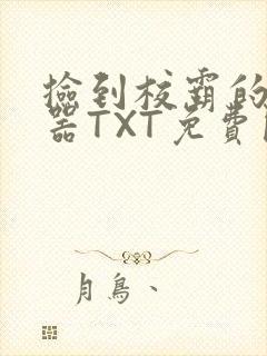 捡到校霸的遥控器TXT免费阅读