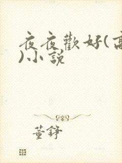 夜夜欢好(高h)小说